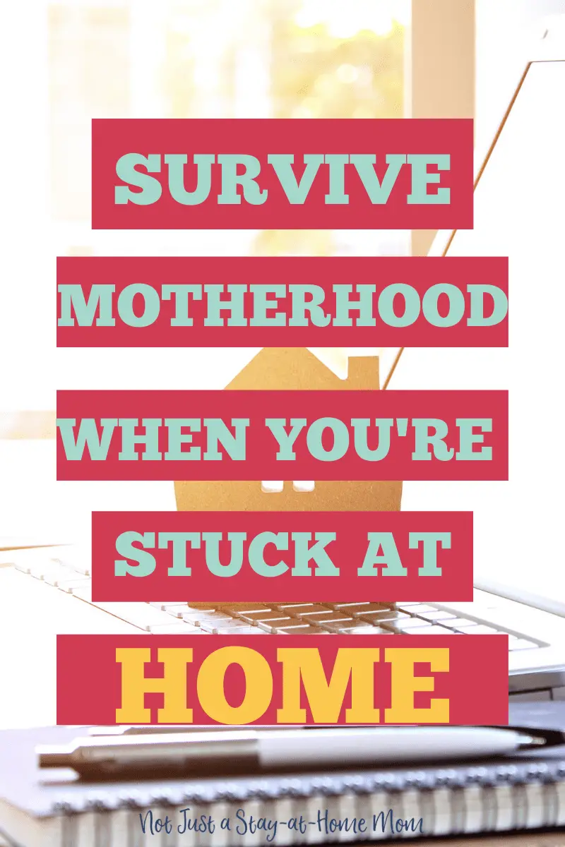 Survive at Home